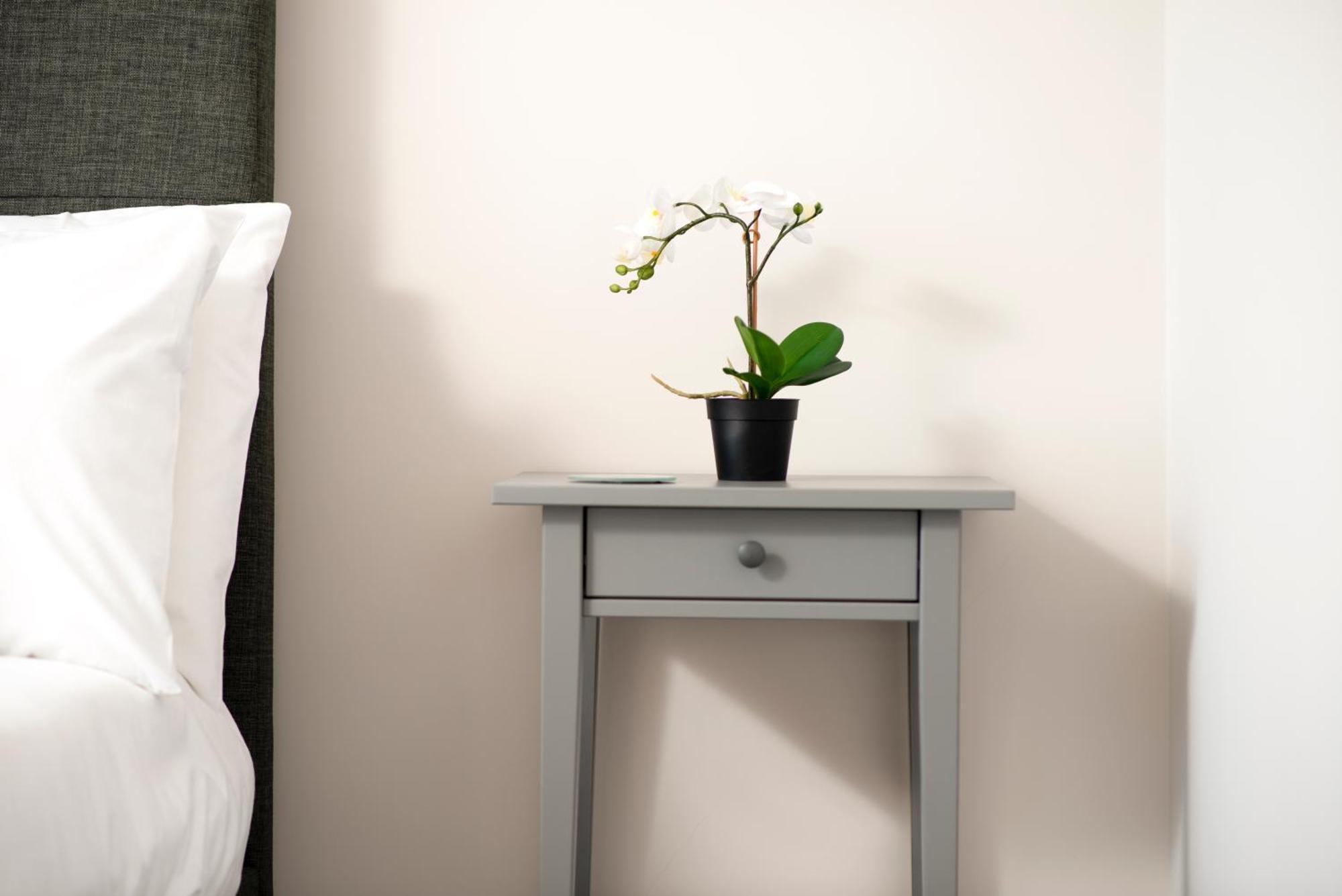 Morley Cottage - Modern 3 Bedroom, 2 Bathroom House With Garden In Southsea, Πόρτσμουθ Εξωτερικό φωτογραφία